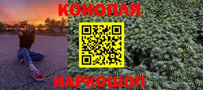 гашик Канаш