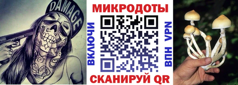 Галлюциногенные грибы ЛСД  где продают наркотики  Саранск 
