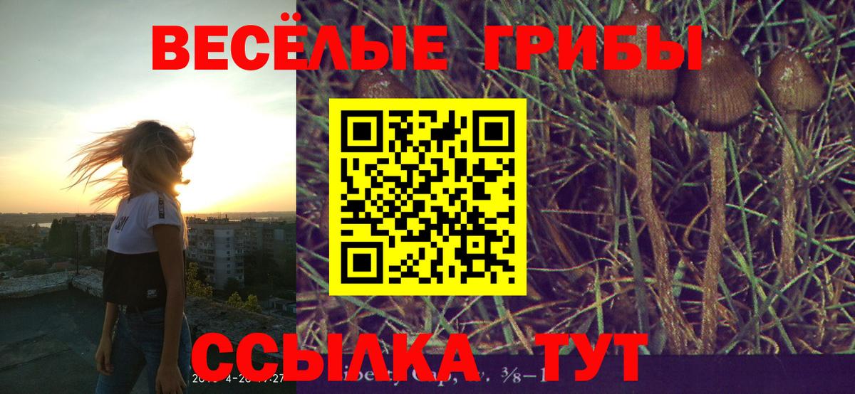 Галлюциногенные грибы Cubensis  Вход с VPN  Саранск 